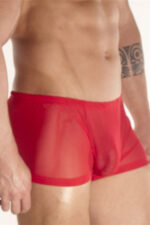 Deluxerie Boxer Homme Charlemagne 2