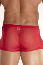 Deluxerie Boxer Homme Charlemagne 3